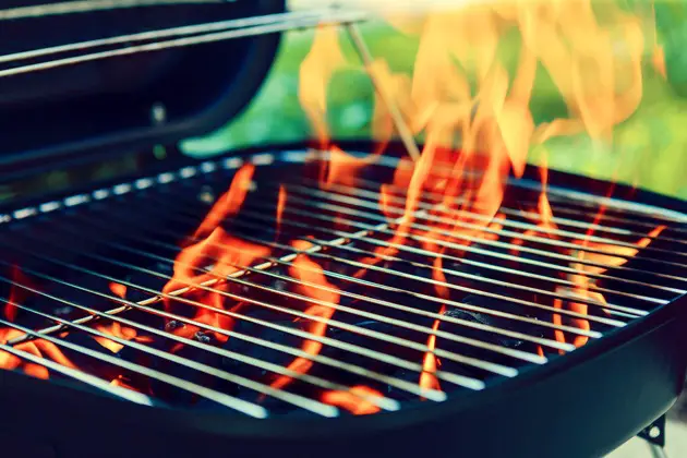 Charcoal Grill with Ash Container and Remover